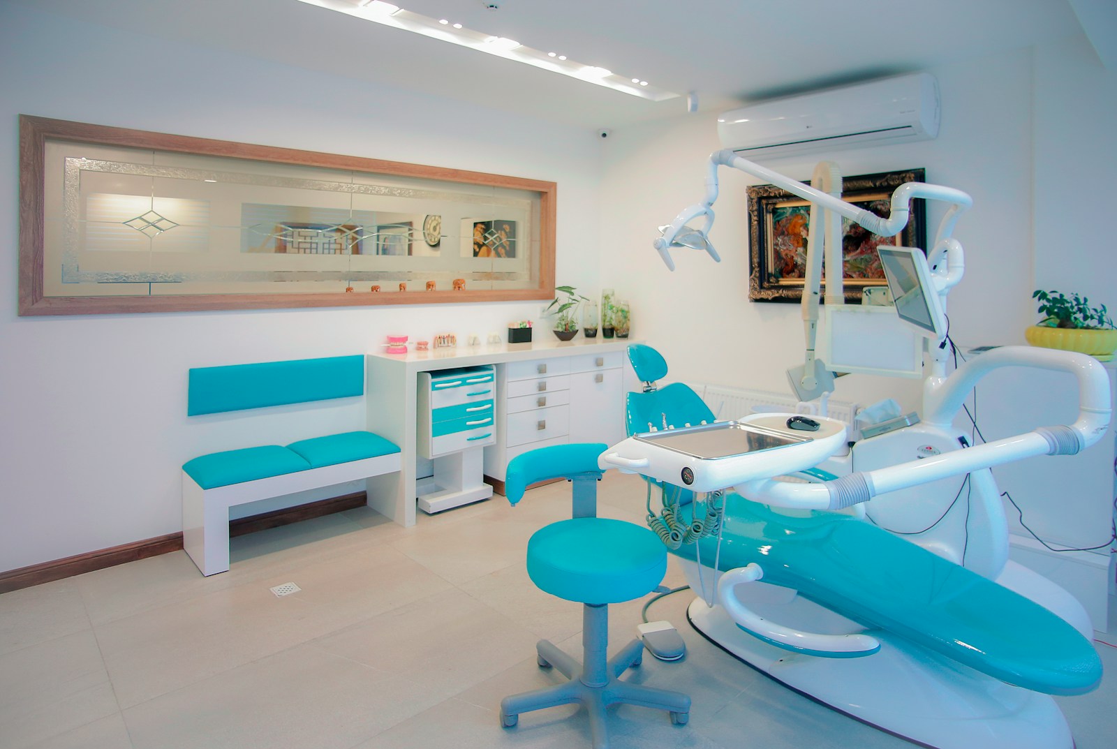 Nerovet AI Dentistry